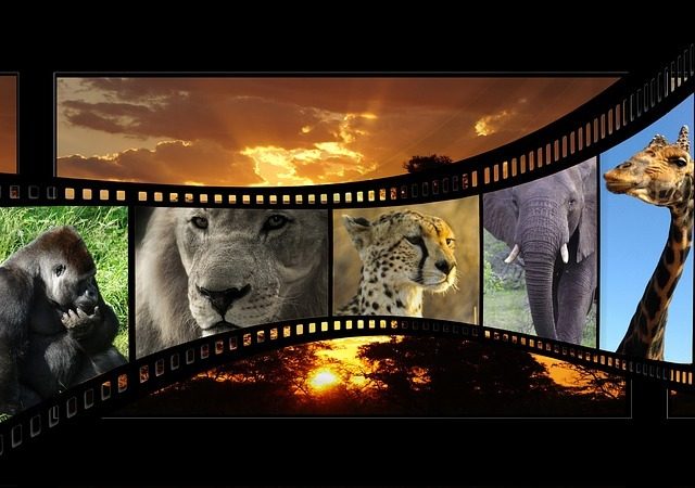 Filme damals und heute Image